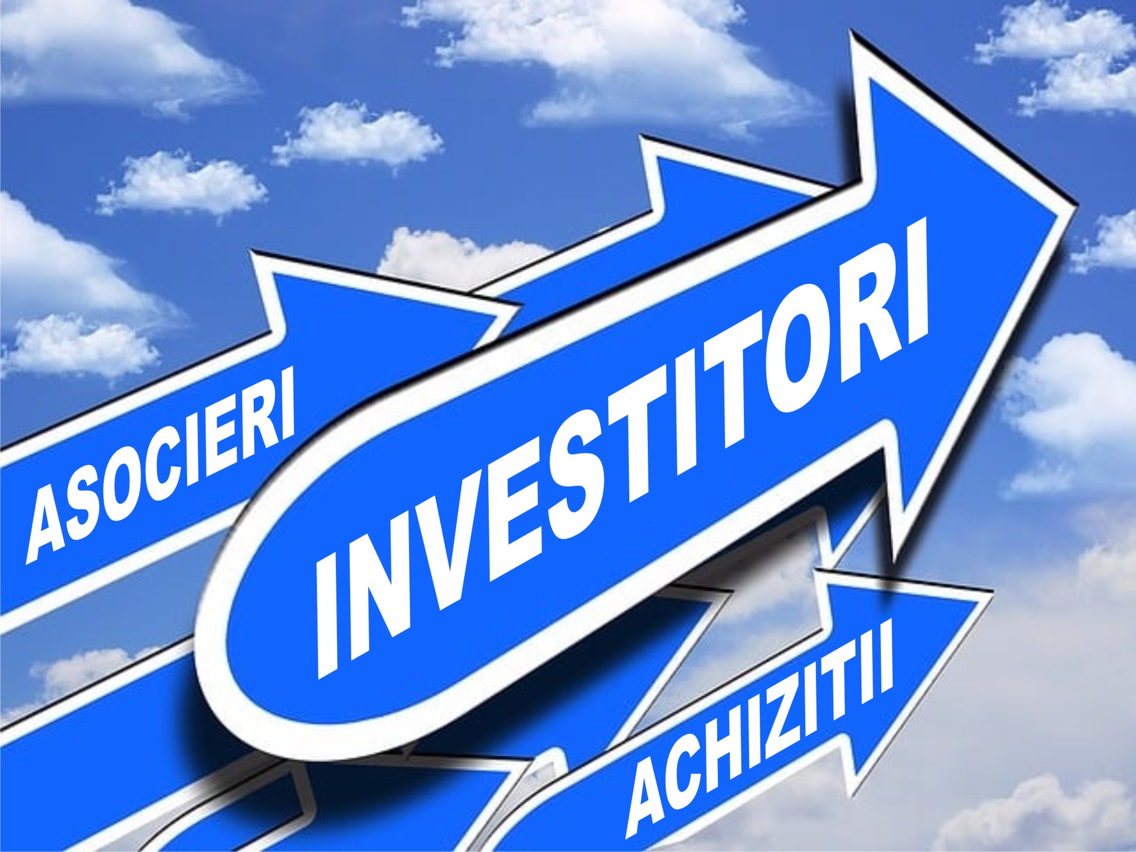 INVESTIM in companii