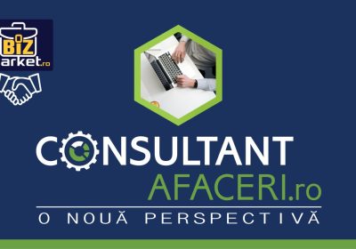 consultant